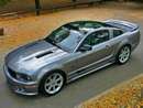 2006 Ford Saleen S281 Scenic Roof