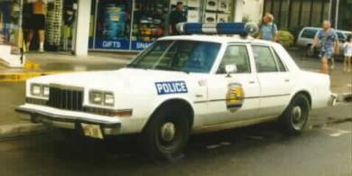 Dodge Intrepid Police